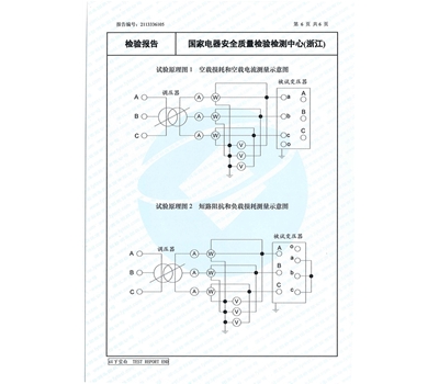 S22-M-2000能源效率检验报告